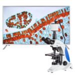 AmScope HD1080A 1080p 15fps 5MP HDMI Color CMOS C-mount Microscope Camera for Stand-alone and PC Imaging - Image 2