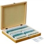 AmScope PS100E 100pc Prepared Glass Microscope Slides in Wood Case with Plant/Botany, Bacteria and Fungus Specimens - SET E