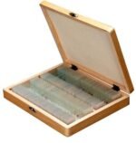 AmScope PS100D 100pc Prepared Glass Microscope Slides in Wood Case with Amphibian, Mammal, Insect and Plant/Botany Specimens - SET D - Image 2